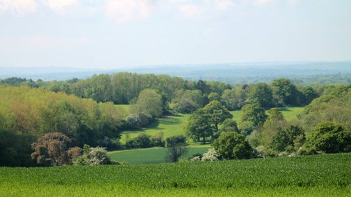 View from Scathes Wood on the National Trust Ightham Mote estate in Surrey